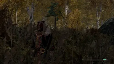 Grass on Steroids SFO Edition - near Ivarstead