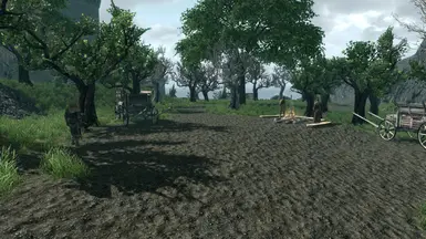 The caravan pursuing the lost city