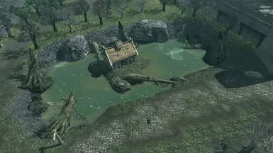 Lumbridge Swamp