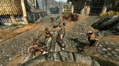 Whiterun Guards