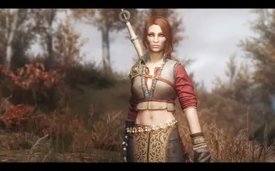 Ciri dlc