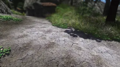 Skyrim 2017 TPTC
