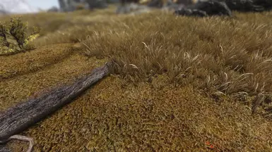 Skyrim 2017 TPTC