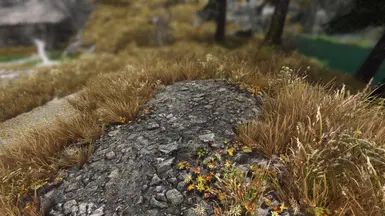 Skyrim 2017 TPTC