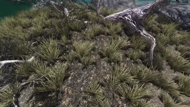 Skyrim 2017 TPTC