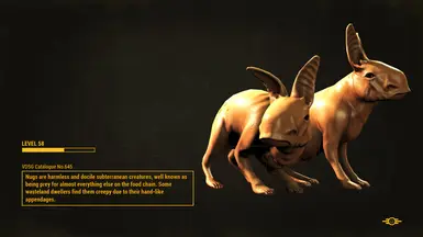 Nug Loadscreen