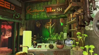 mushroom shop