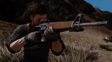 Arsenal Weapon Overhaul - AR15 Family