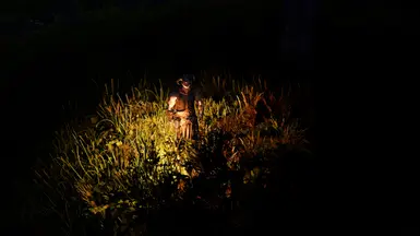 Quick Light SE patch