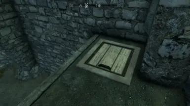 Fast Entry Trapdoor Goes Directly To The Sub-basement
