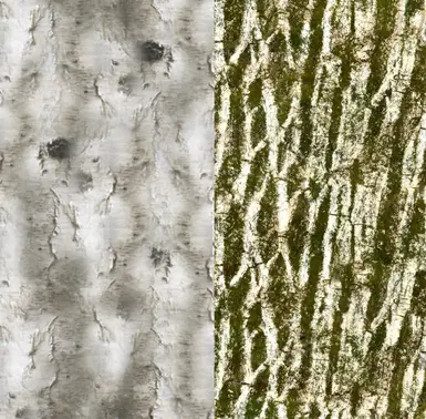 Custom Before/After