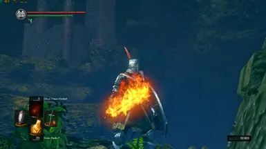 Permanent Visual infusion effects