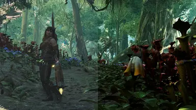 Before | After - Crimson Forest