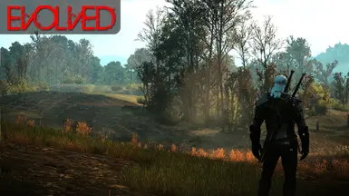 E6