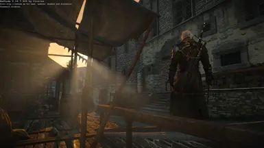 witcher3 2015 06 21 13 46 29 73