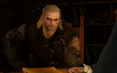 witcher3 2017 08 19 19 08 14 781