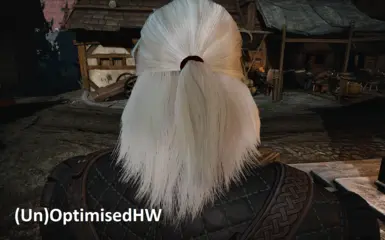 witcher3 2017 08 15 13 05 37 348