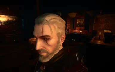 witcher3 2017 08 12 12 07 41 371