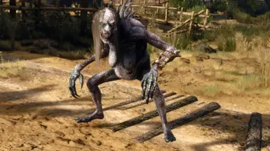 Grave Hag HDMR 5
