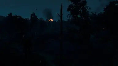 Comparison - 1 - True Fires