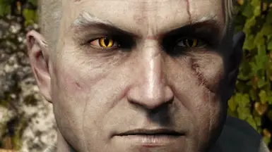 Insane Geralt Eyes (Books Inspired) NEXT-GEN is also working