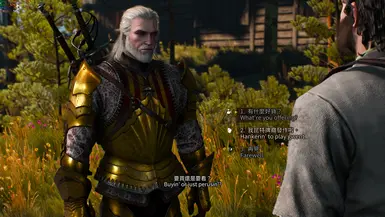 Dual subtitles - Chinese(Traditional and Simplified) and English