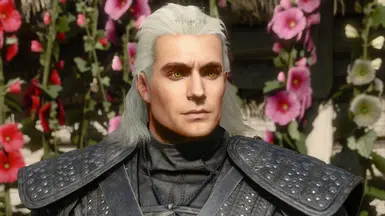 Ultimate Netflix Henry Cavill Mod