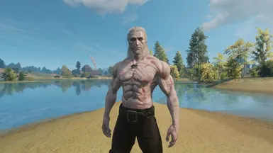 Mature Witcher Version